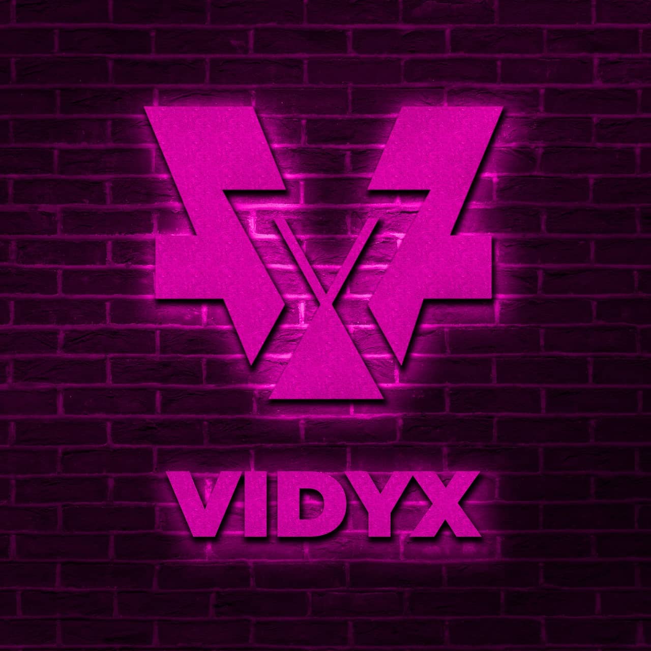 VIDYX - Top Cryptocurrency to Buy and Hold Forever