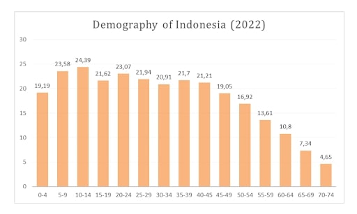 Business Investment Opportunities in Indonesia - Demography