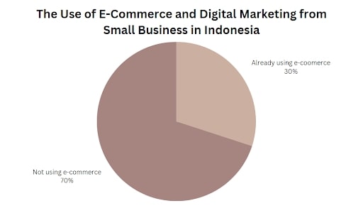Business Investment Opportunities in Indonesia - E-commerce & Digital Marketing